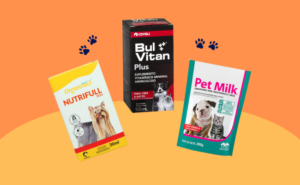 Melhores Suplementos para Abrir o Apetite de Cachorro