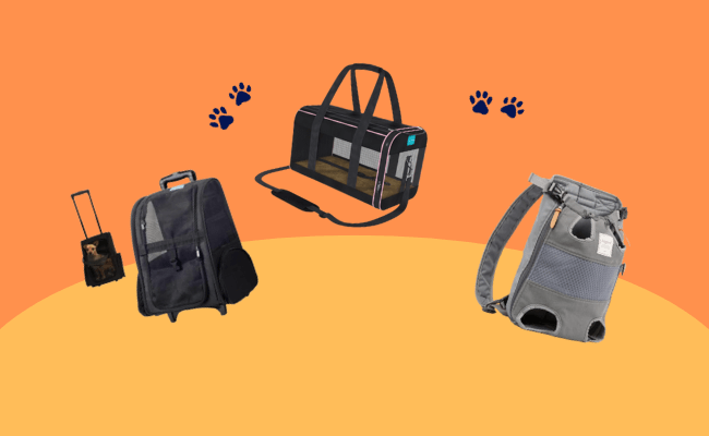 As 5 Melhores Bolsas para Transporte de Cachorro 2023